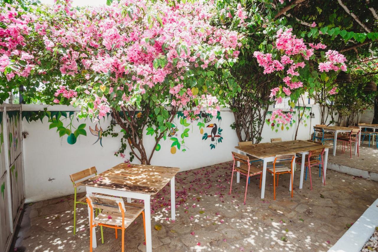 Bayahibe Village Inn Екстер'єр фото