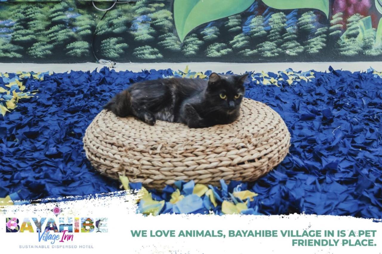 Bayahibe Village Inn Екстер'єр фото